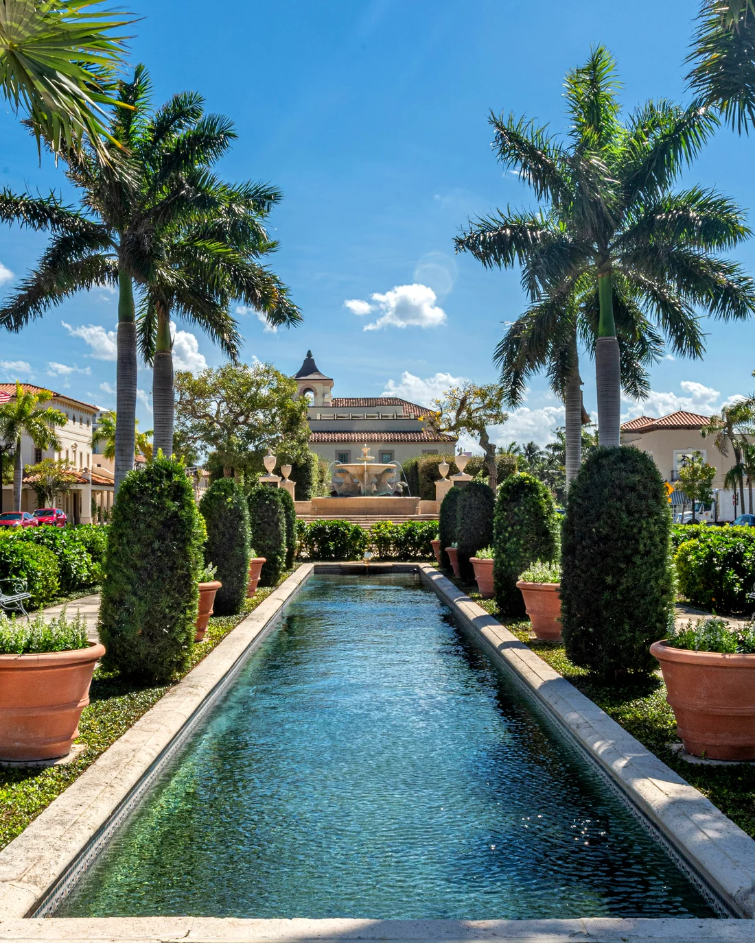 Palm-lined estate garden with reflecting pool