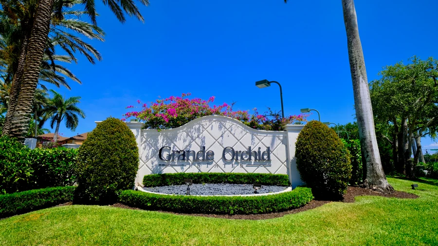 Grande Orchid